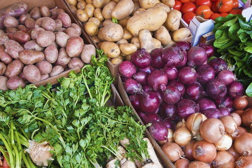 從地頭到餐桌 食用農(nóng)產(chǎn)品安全全程護航步驟解析