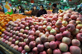 我國食用農(nóng)產(chǎn)品價格小幅上漲趨勢分析