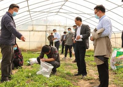 中牟縣試行食用農產品合格證制度 守護舌尖安全，推動產業升級