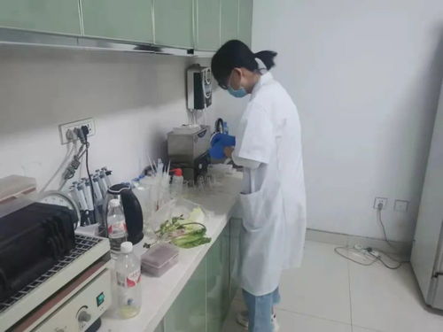 四大農(nóng)貿(mào)市場(chǎng)抽檢結(jié)果公布，36批次食用農(nóng)產(chǎn)品安全有保障