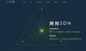 云杉網(wǎng)絡(luò)完成1100萬(wàn)美元B輪融資，引領(lǐng)國(guó)內(nèi)SDN技術(shù)服務(wù)新浪潮